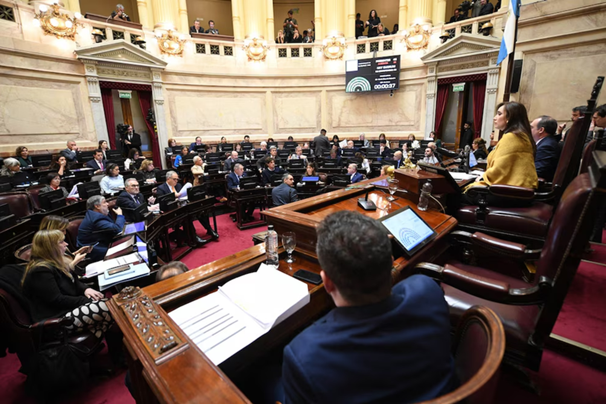 El proyecto será debatido en el Senado próximamente.  