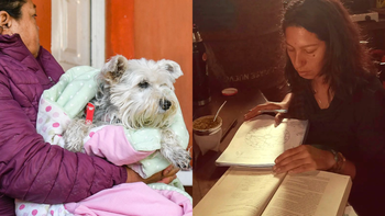 Agenda de talleres del Municipio de San Vicente: astrología creativa y capacitación en derecho animal