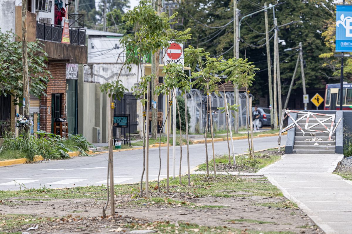 El trabajo se llevó bajo el Plan de Forestación en distintas localidades. El trabajo se llevó bajo el Plan de Forestación en distintas localidades.