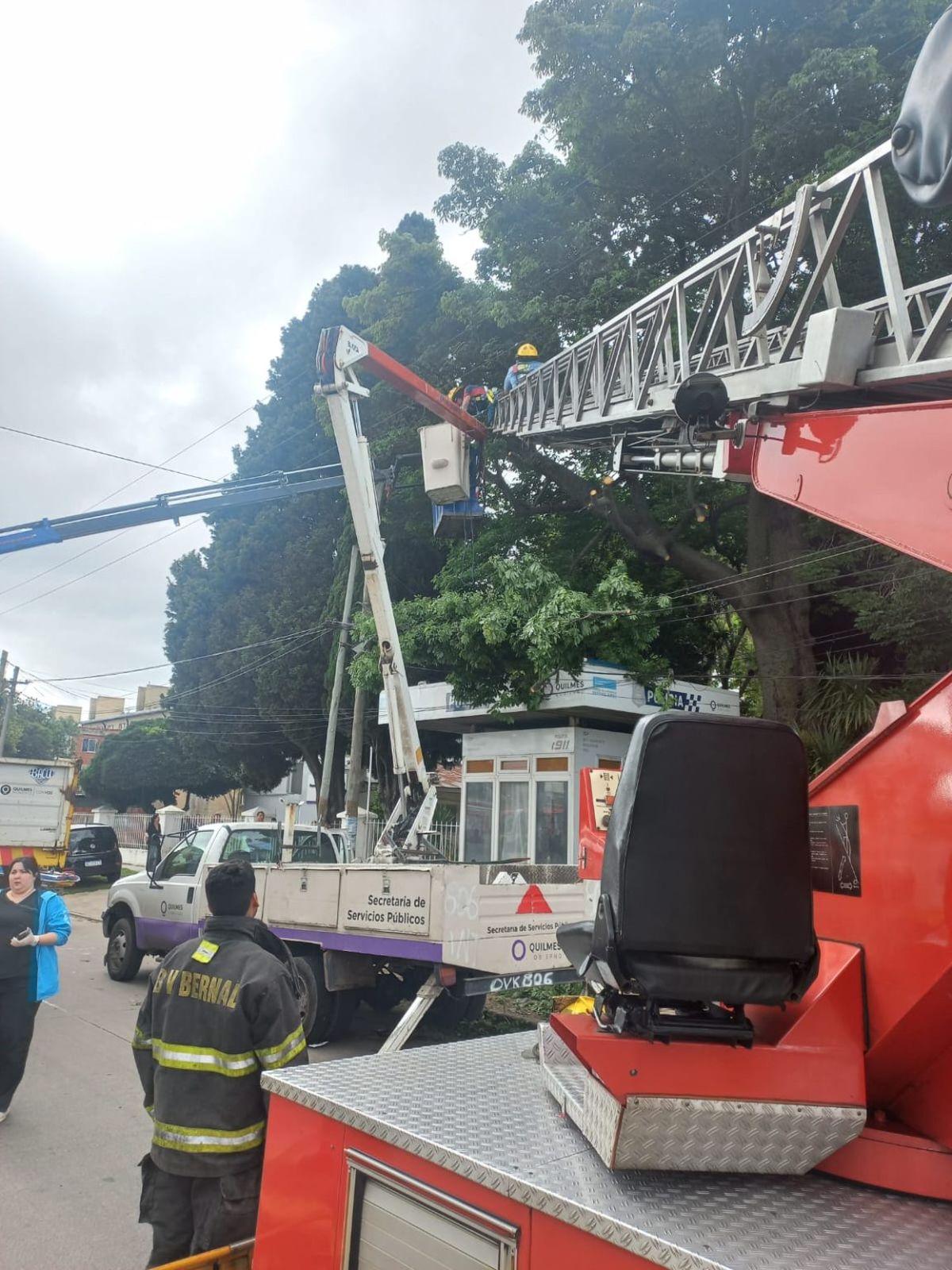 El operario Municipal de Quilmes se encontraba podando un árbol cuando hizo contacto con un cable de alta tensión. 