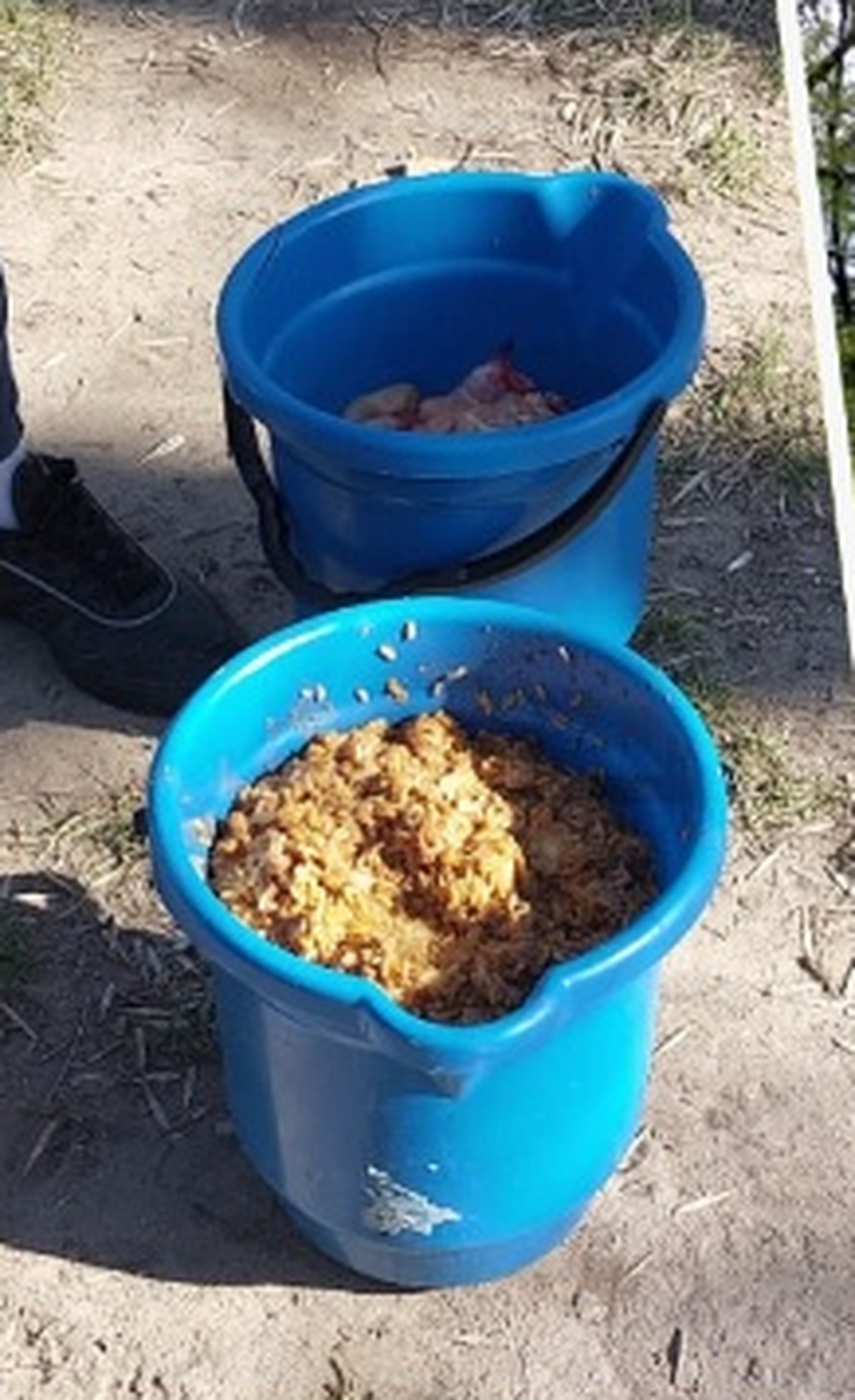 La foto que sacó Vitaller de los baldes con restos de comida y que difundió en redes sociales.