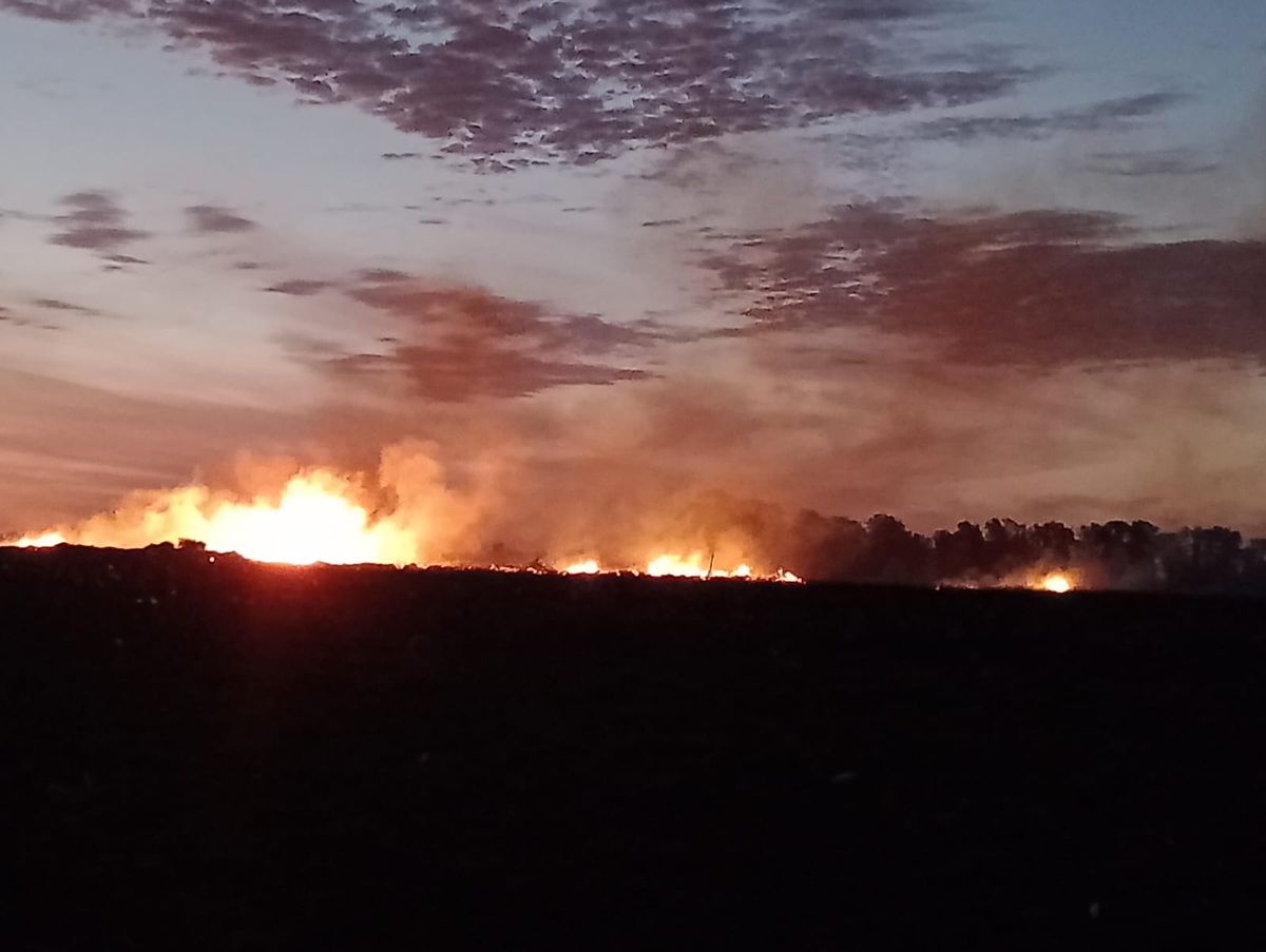 San Vicente: incendio de grandes proporciones en las inmediaciones del Ecopunto