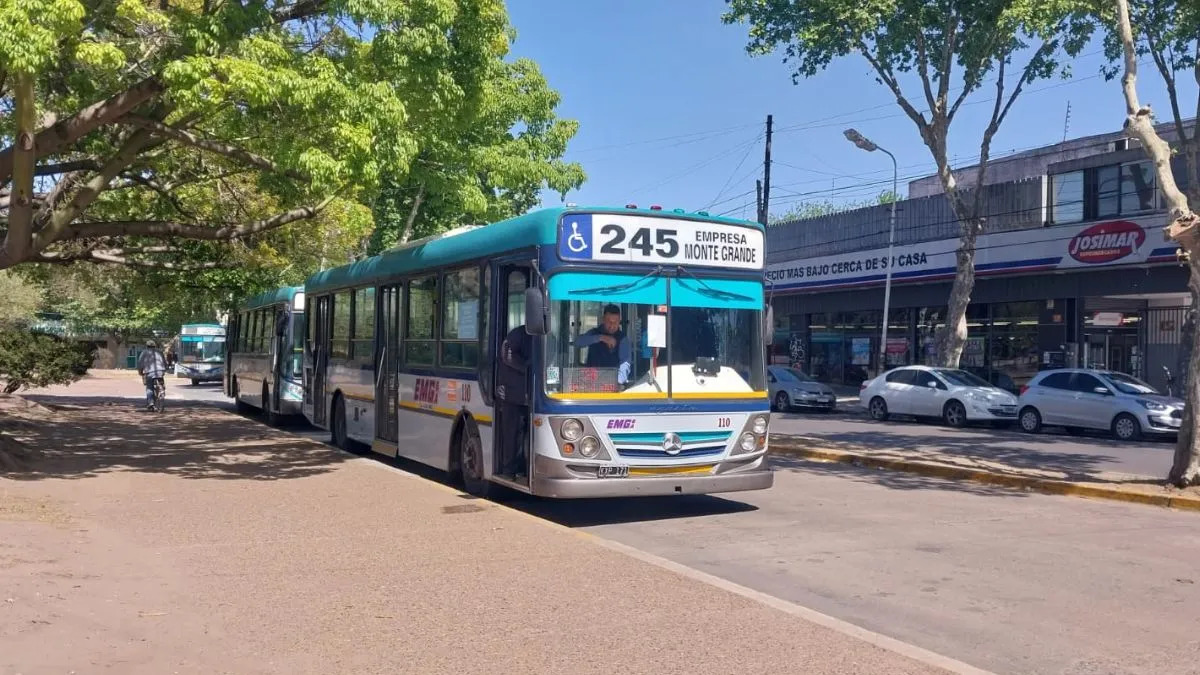 Se podrá validar la carga de la SUBE en el mismo colectivo. 