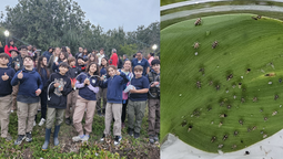 laguna de san vicente: liberaron insectos para combatir la plaga de camalotes