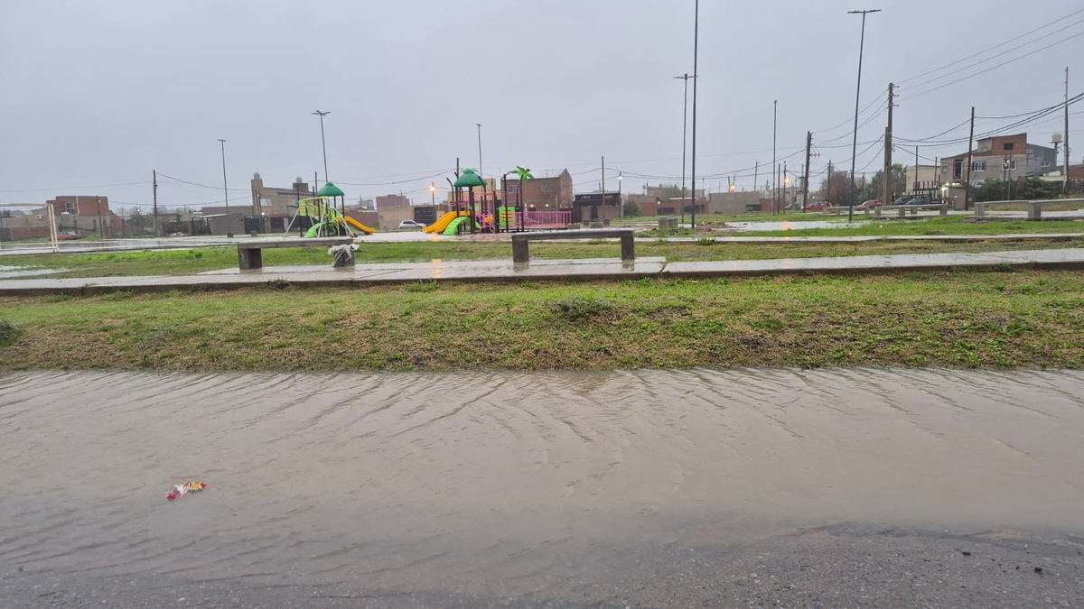 Algunas zonas de la regi&oacute;n fueron considerablemente afectadas por la tormenta.&nbsp;