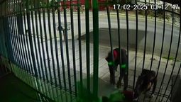 Lanús: así desvalijaron un local de electrodomésticos en plena avenida Pavón