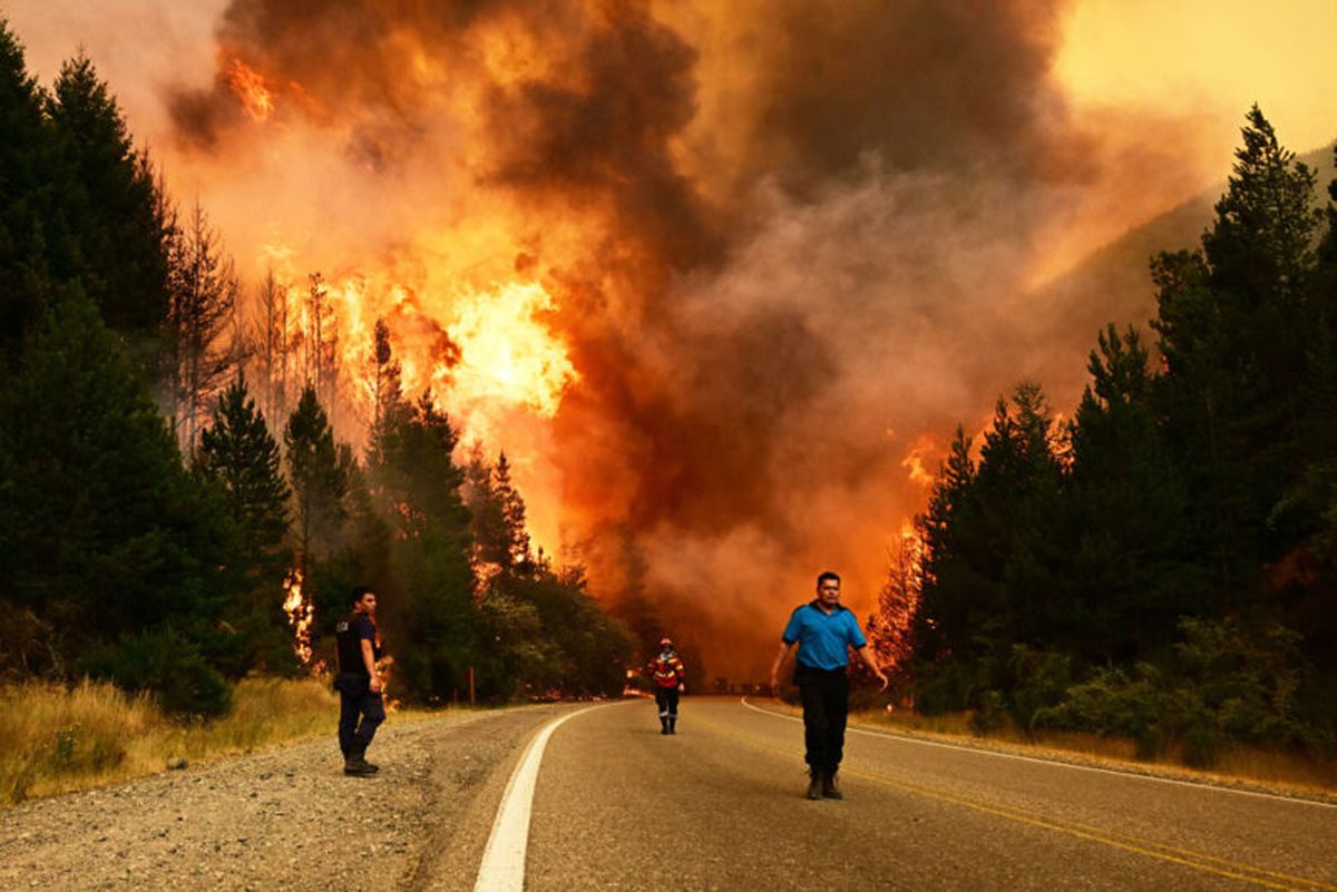 Incendios en la Patagonia: el Club Rotary Lomas Este lanzó una colecta solidaria