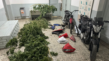 Desarmaron una banda que robaba motos en San Vicente y hallaron una planta de marihuana