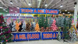 armar el arbolito de navidad barato en guernica: ofertas de todo por $1.000