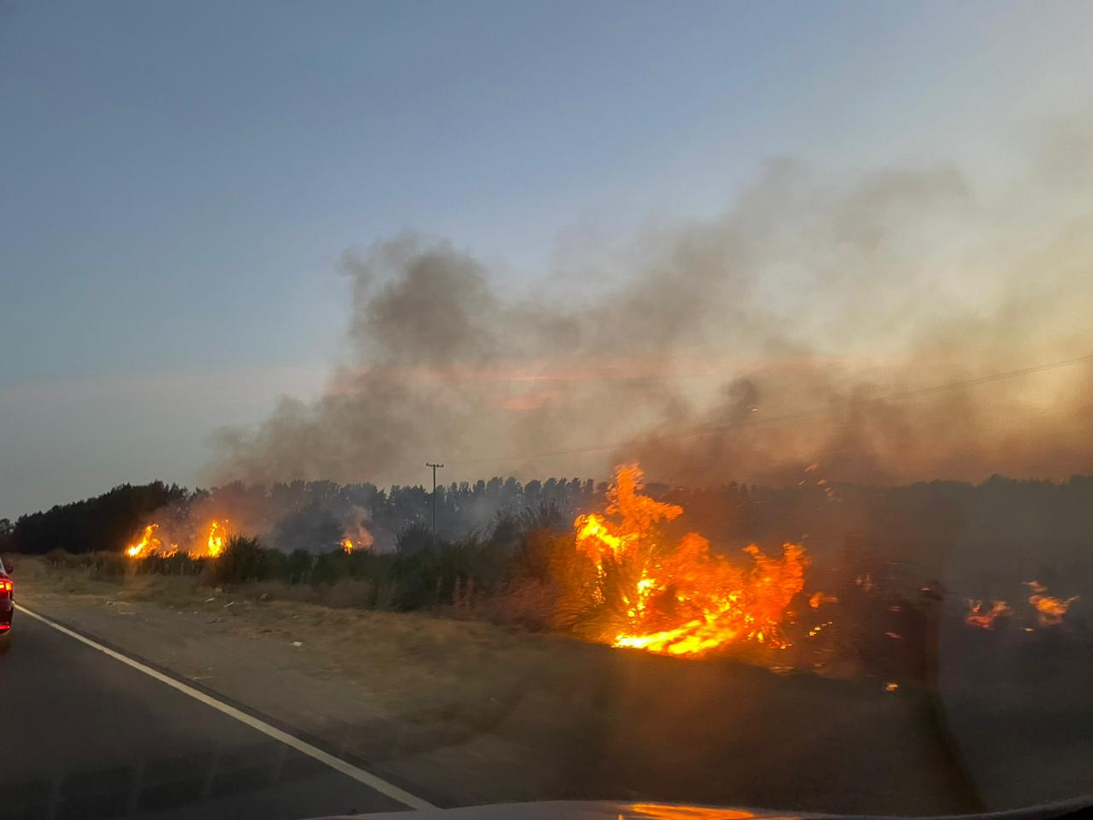 El incendio de grandes proporciones que se desarroll&oacute; en el cruce de la Ruta 58 y Juan Pablo II este fin de semana en San Vicente.