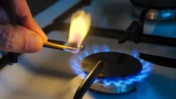 ANSES: cómo anotarse a los subsidios de luz y gas para AUH