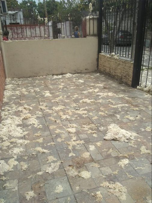 As&iacute; quedaron las casas de Villa Centenario tras la explosi&oacute;n.