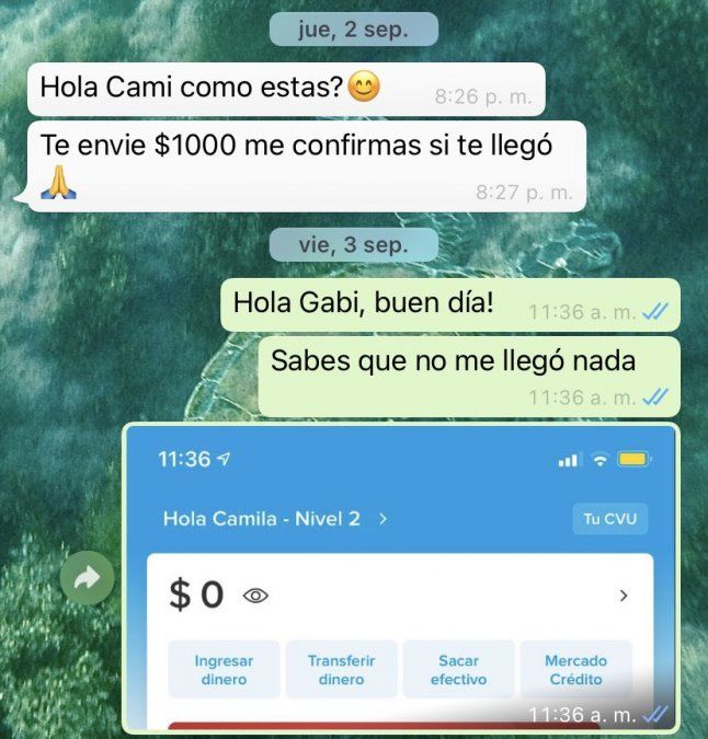 Luis Guill&oacute;n: un reclamo en un grupo de Facebook se hizo viral en Twitter