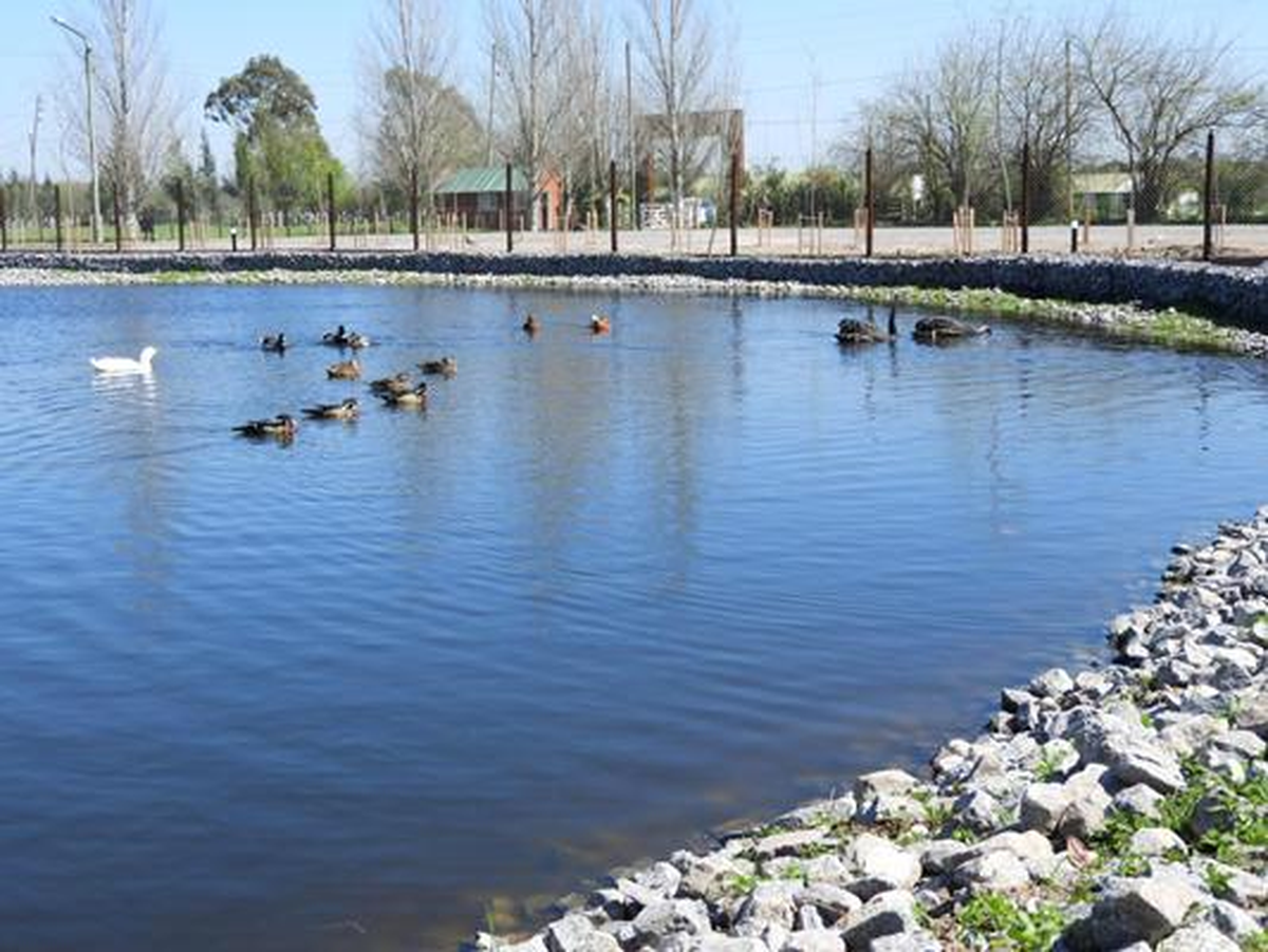 Hay numerosas actividades para realizar en Almirante Brown.