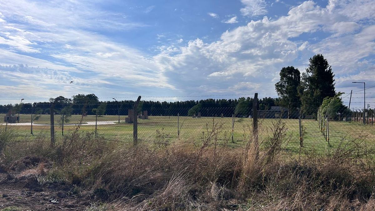 whatsapp image 2026 02 06 at 193638