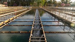 ola de calor: aysa solicita a los vecinos cuidar el agua