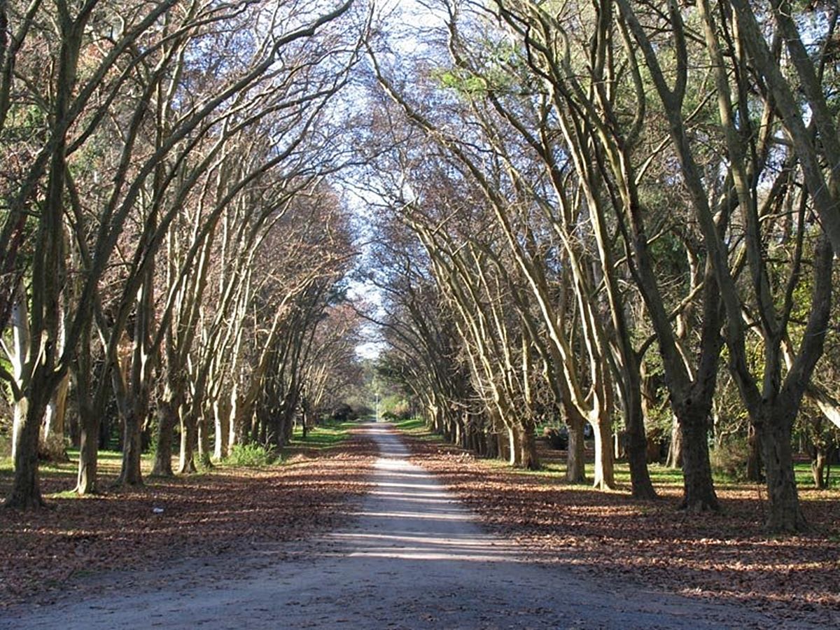Parque Pereyra, lugar donde encontraron el cuerpo. Los Peralta, de Lomas de Zamora, constataron que no era Gregorio.