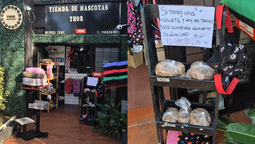 gesto solidario en rafael calzada: regala alimento para mascotas para quienes no pueden comprarlo