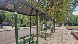paro de colectivos: que lineas operan y cuales no en la region
