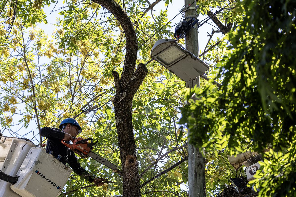 El objetivo es mejorar la visibilidad en la vía pública. El objetivo es mejorar la visibilidad en la vía pública.