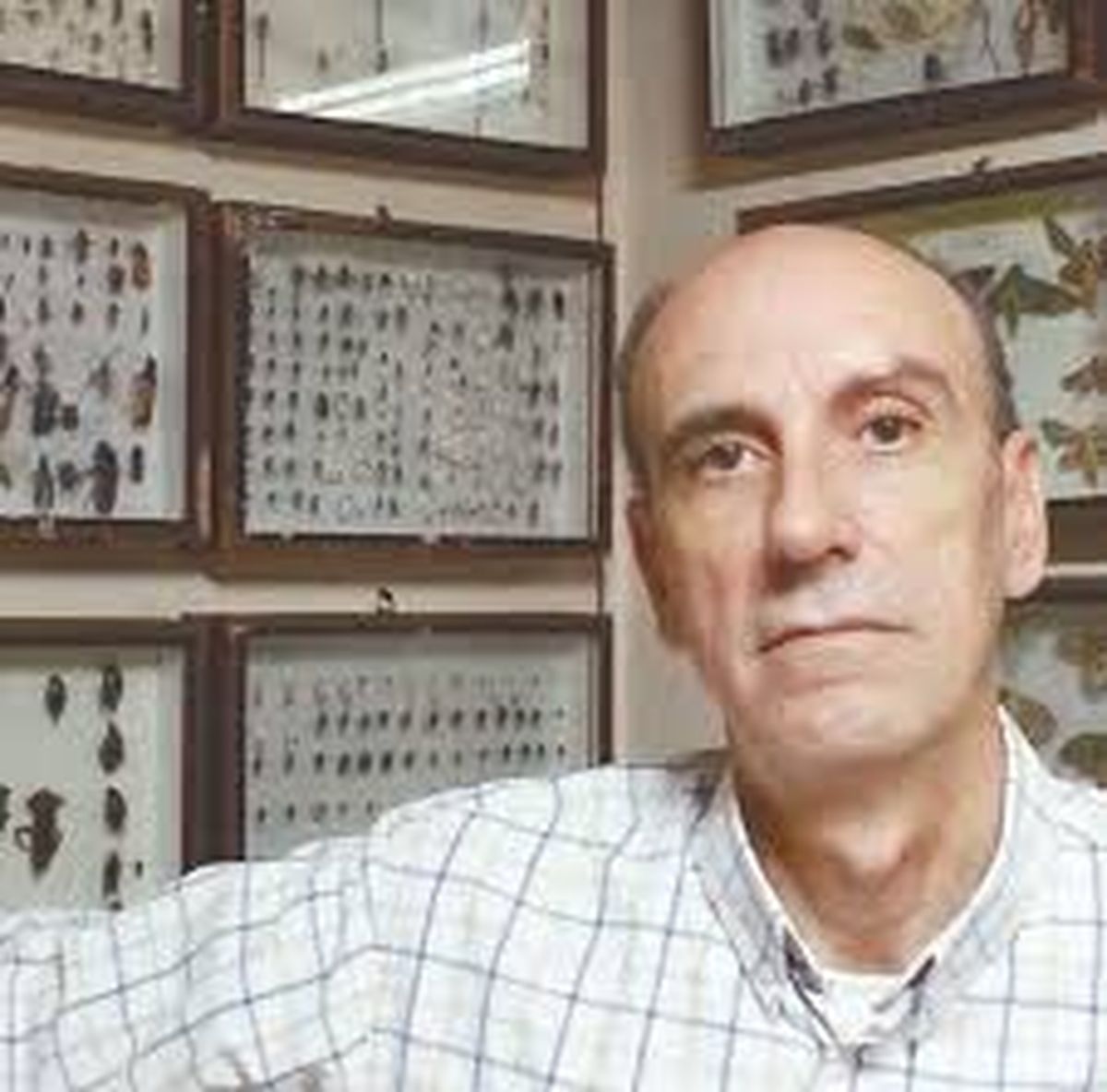 Cucarachas desatadas y mosquitos bajo control: las plagas en el Conurbano este verano