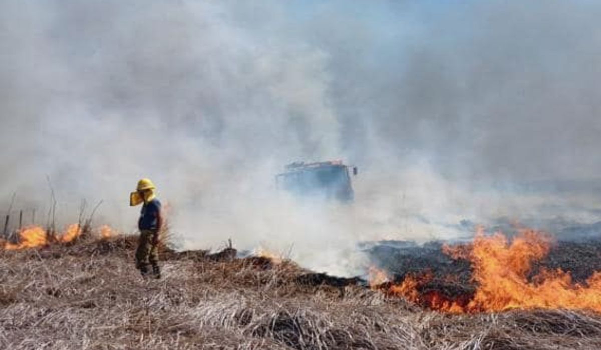 Los bomberos de San Vicente, en alerta por los incendios de campos de cara al verano con la sequía