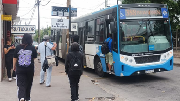 Nuevo cambio en el recorrido de los colectivos en Domselaar