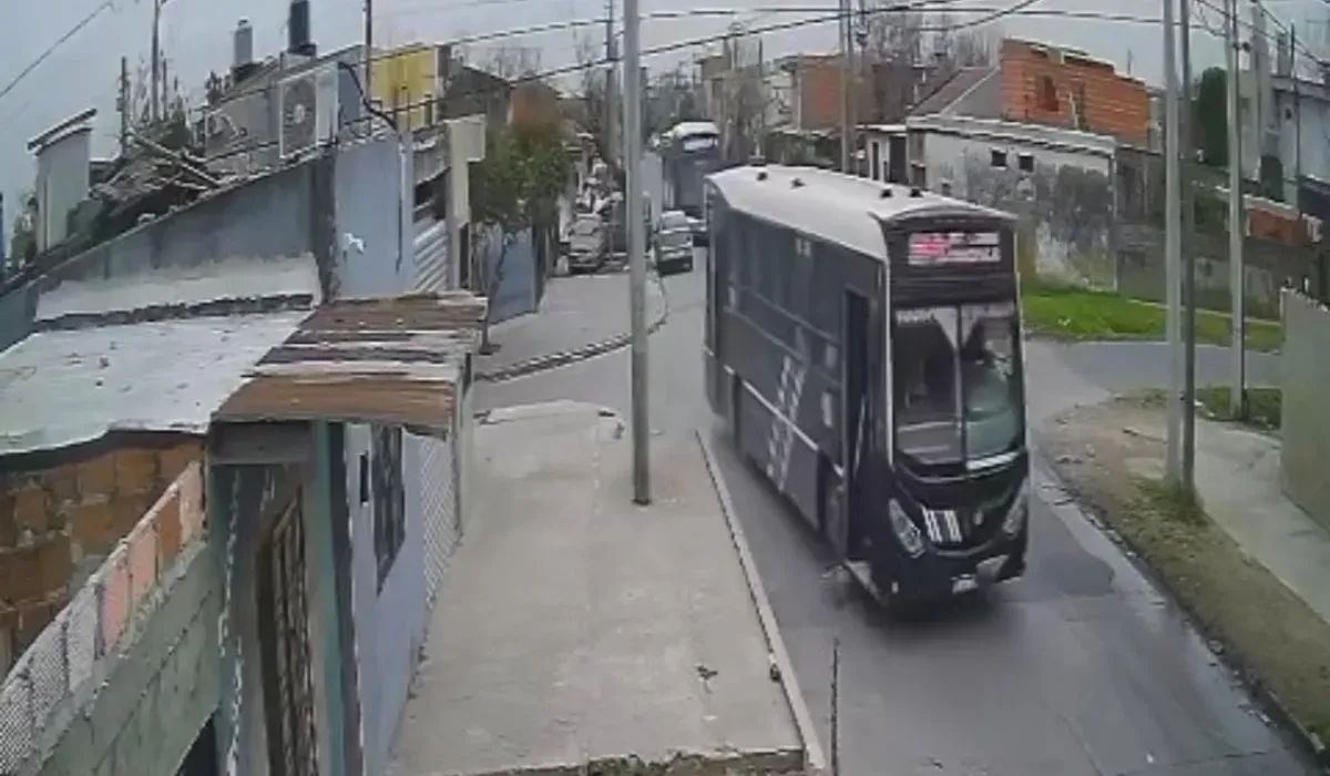 El colectivero que atropelló a la perra en Lomas de Zamora. 