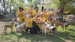 el refugio san francisco de asis necesita ayuda para vacunar a 350 animales rescatados