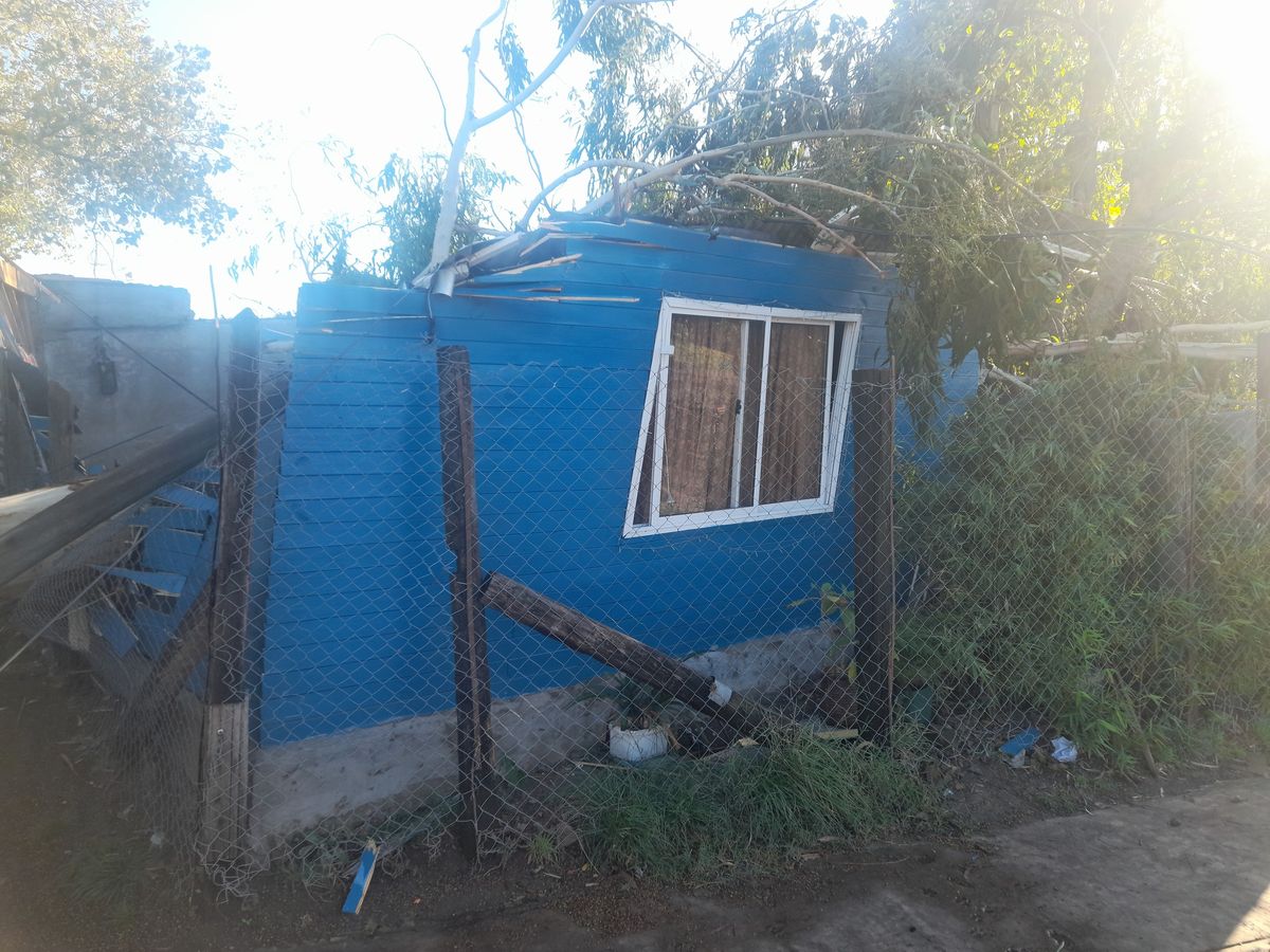El árbol destruyó la casa de Llavallol durante la tormenta.