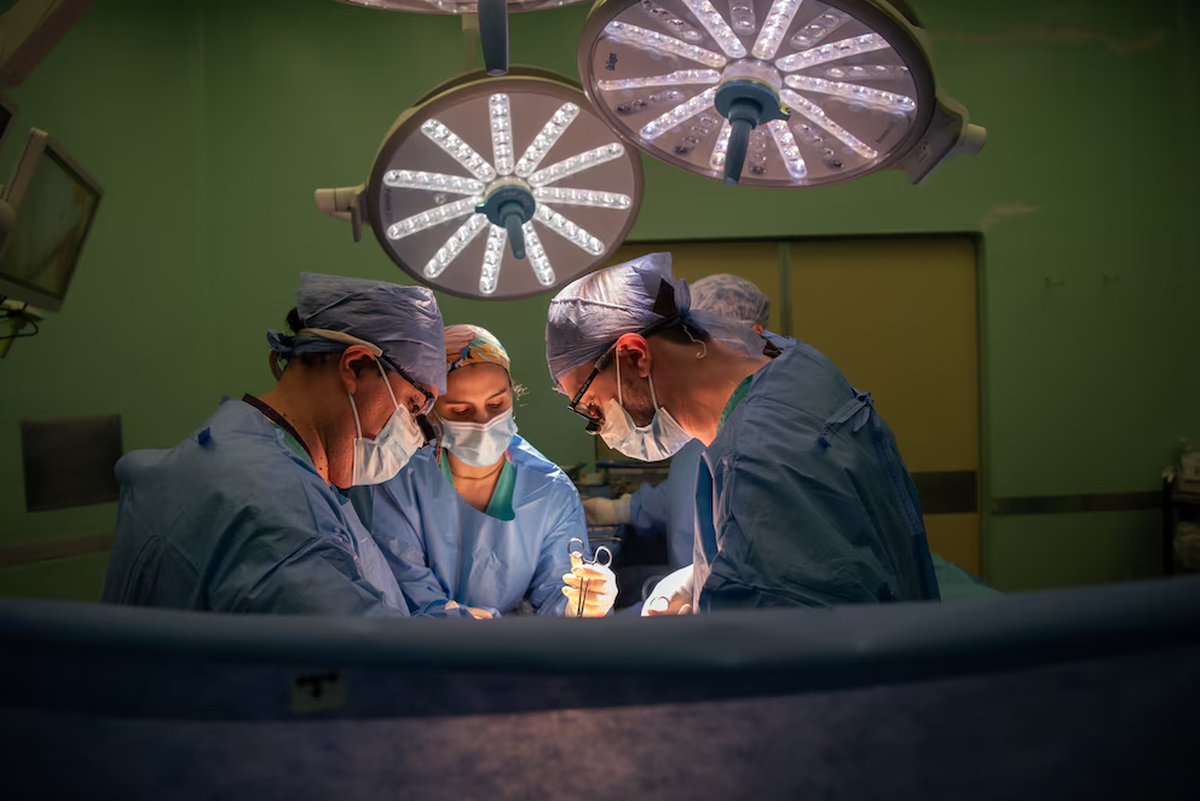 La medida incluye a todos los hospitales dependientes del Gobierno Nacional. La medida incluye a todos los hospitales dependientes del Gobierno Nacional.