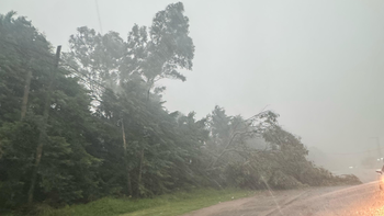 Granizo y fuertes ráfagas de viento en Zona Sur: varias localidades afectadas