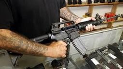 el gobierno autorizo la compra y tenencia de armas semiautomaticas por parte de civiles