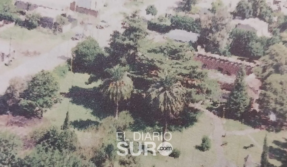 Vista panorámica del Museo La Campana.
