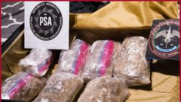 La PSA desbarató a una banda narco criminal que exportaba droga a España.