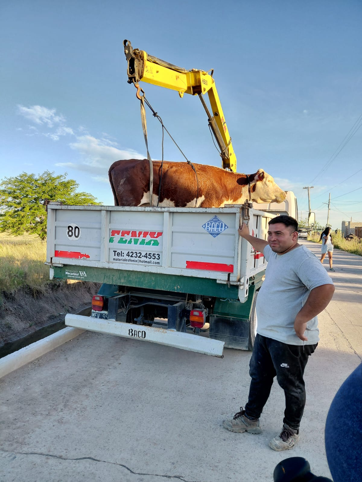 El animal, que estaba ciego, no pudo advertir el desnivel y terminó dentro del zanjón en Canning. El animal, que estaba ciego, no pudo advertir el desnivel y terminó dentro del zanjón en Canning.