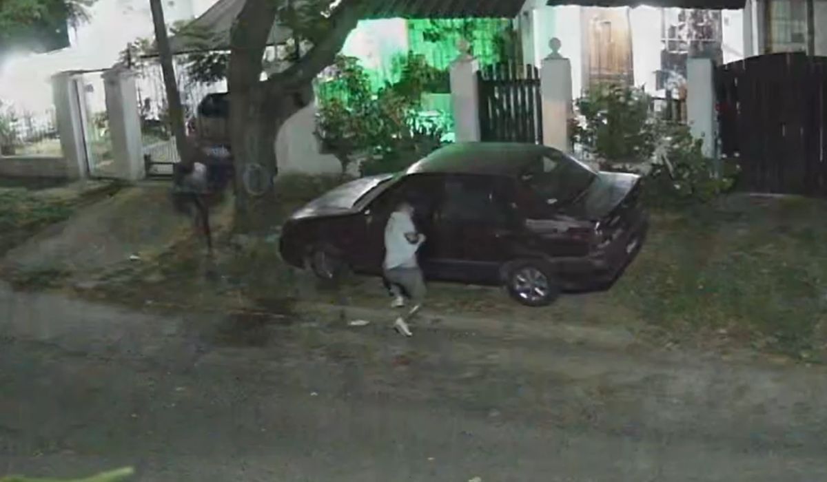 Video: robaron una batería y las ruedas de otro auto en Luis Guillón