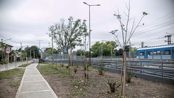 Almirante Brown: plantaron más de mil árboles nativos en espacios públicos durante el último año
