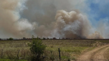 Un incendio forestal provoca importantes columnas de humo en Zona Sur: dónde ocurre