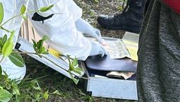 hallaron muerto a un ex juez de paz de ranchos en ensenada: investigan un presunto suicidio