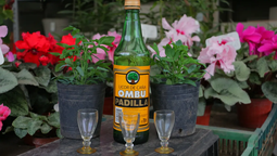 en un vivero de banfield ya tienen todo preparado para dar cana con ruda a sus clientes