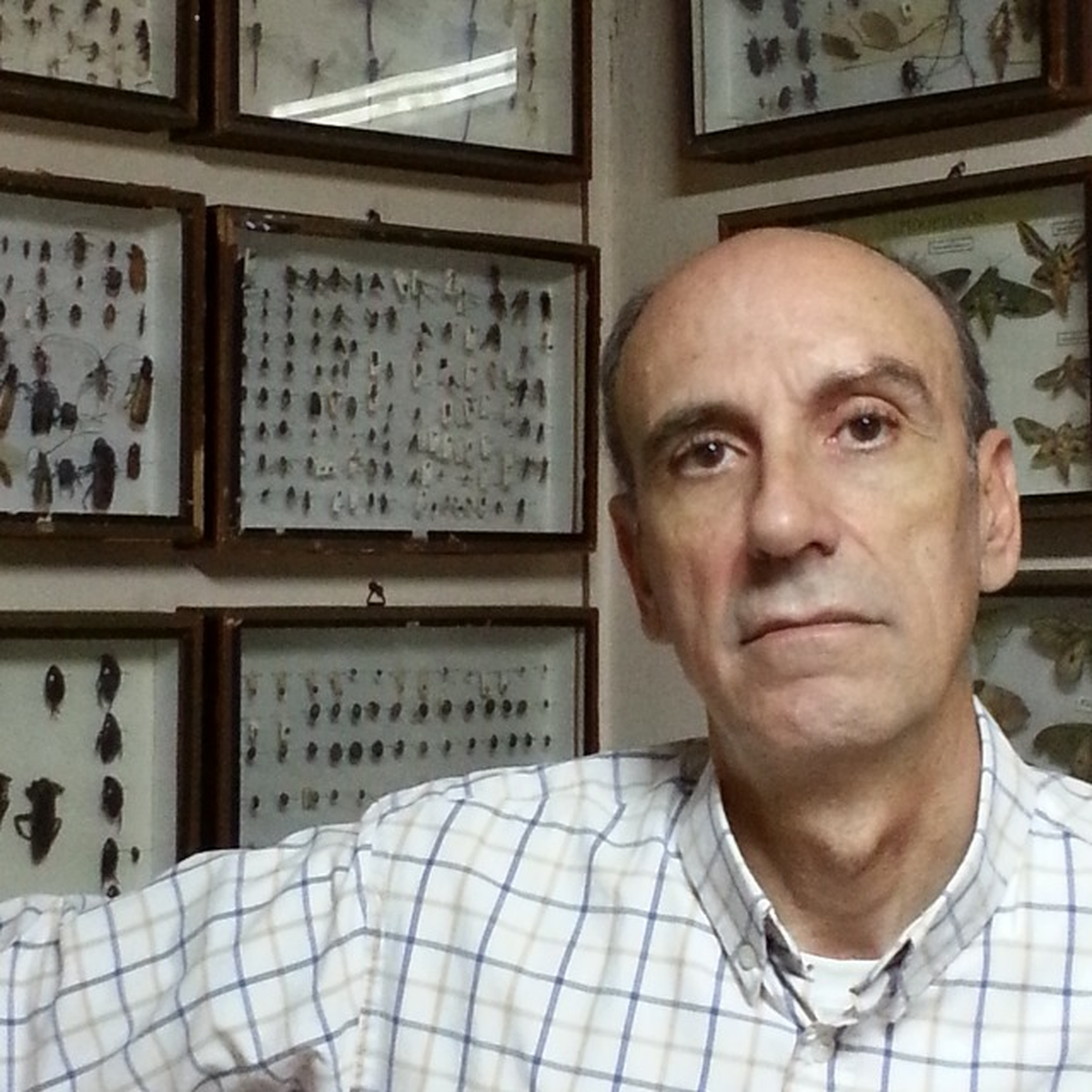Guillermo Mariategui, profesor de la cátedra de zoología agrícola de la facultad de Ciencias Agrarias de la Universidad Nacional de Lomas de Zamora (UNLZ).