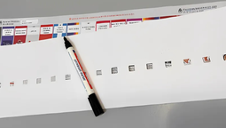 elecciones 2025: reclaman accesibilidad para votantes con discapacidad visual