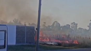 Almirante Brown: incendio frente a un jardín de Glew generó alerta entre los vecinos
