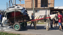 rescataron un caballo maltratado en esteban echeverria: lo usaban para llevar autopartes