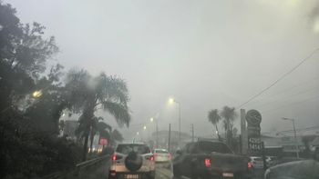 Temporal en Zona Sur: diluvio y ráfagas de viento