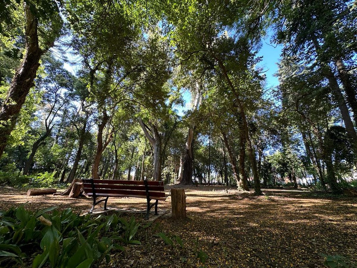 Almirante Brown: el parque Ramón Carrillo abrirá sus puertas durante ...