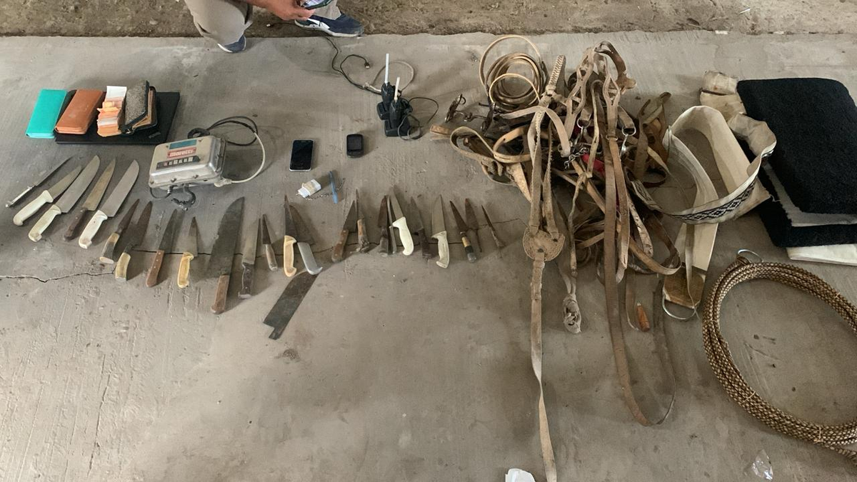 El hecho ocurri&oacute; en San Vicente y los tres delincuentes son mayores de edad.&nbsp;