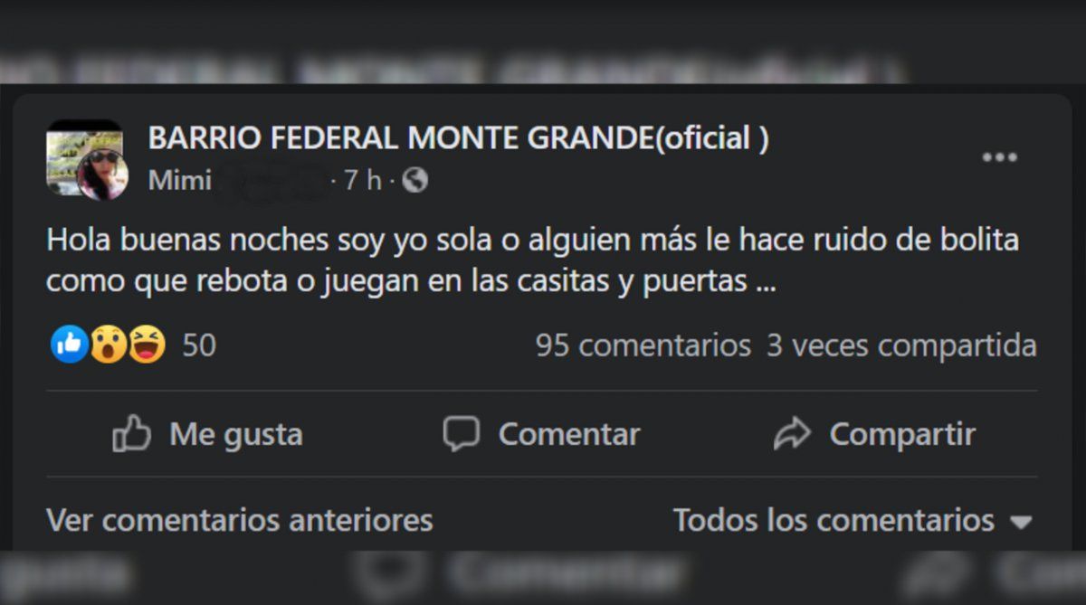 En redes sociales. As&iacute; empez&oacute; el intercambio en el grupo "Barrio Federal Monte Grande (oficial)".&nbsp;