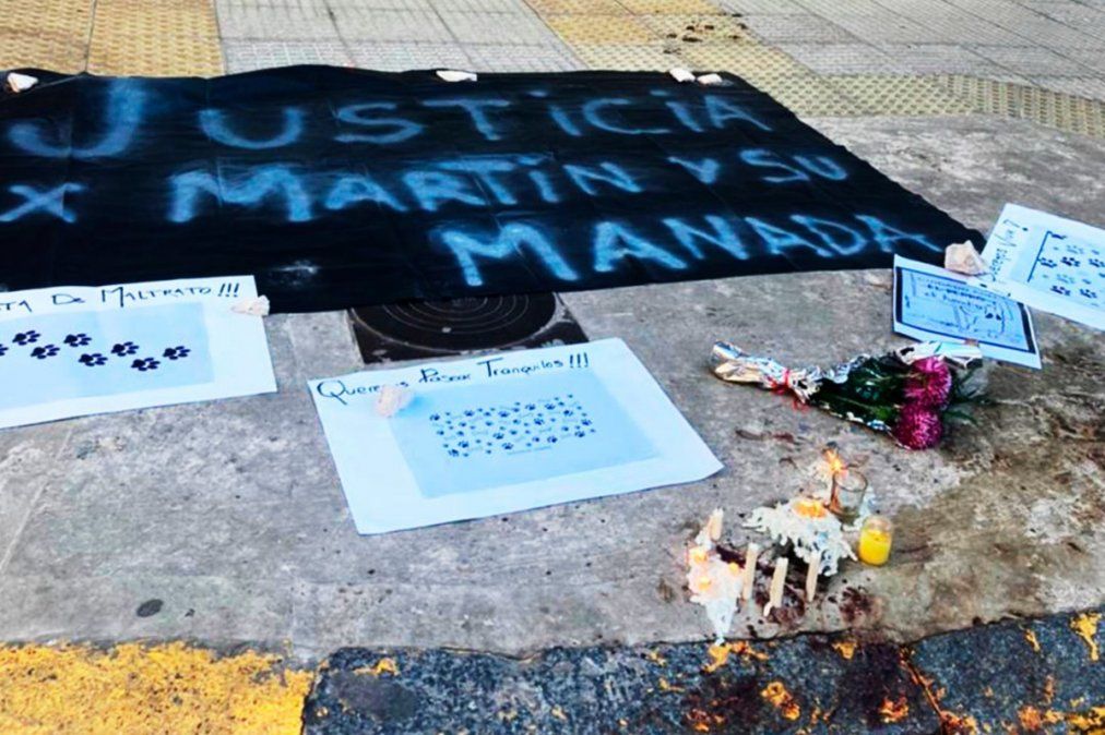 Video: un empresario atropelló a un paseador y mató a cuatro de sus perros